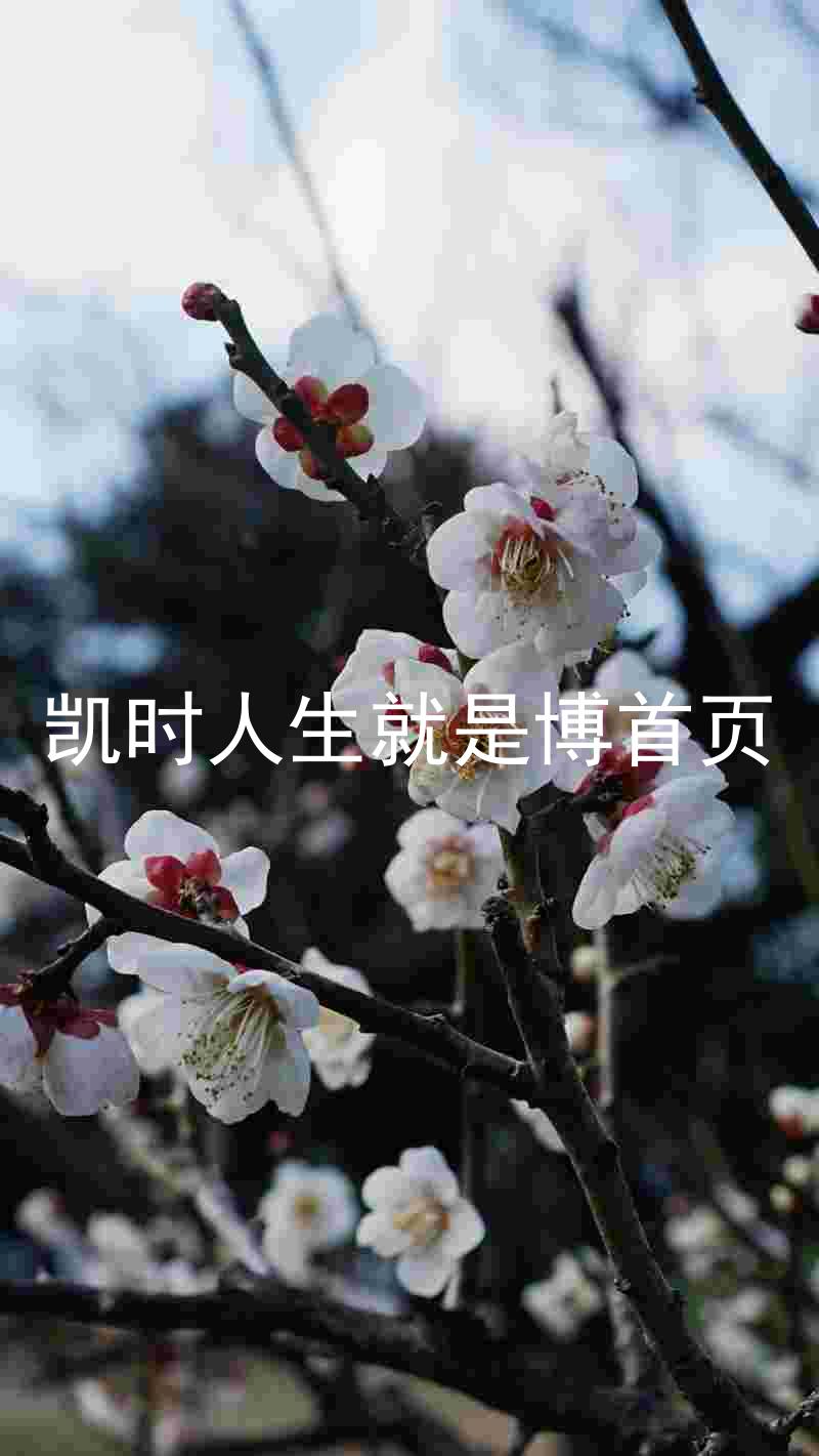 凯时人生就是博首页